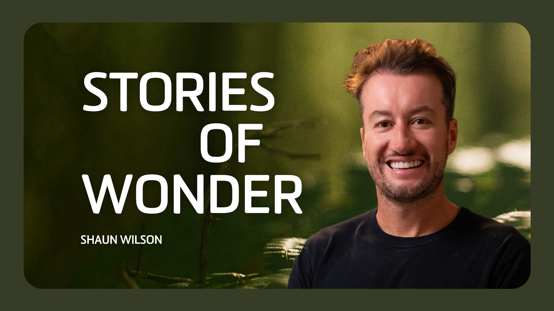 Shaun Wilson is a light-skinned man with short dark brown hair and dark stubble. He smiles broadly against a green blurred background reminiscent of a rainforest. The tile has the title "Stories of Wonder" in large white font and "Shaun Wilson" along the bottom.